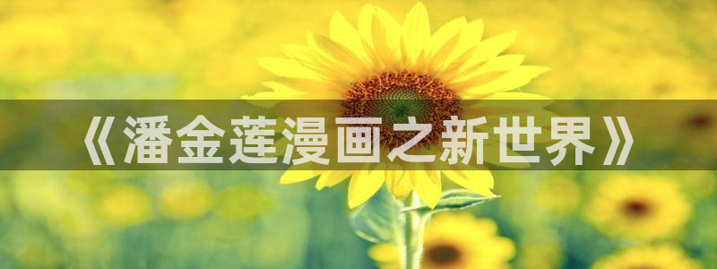 91漫画成人版
