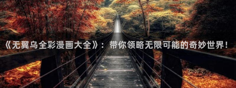 91漫画在线视频观看