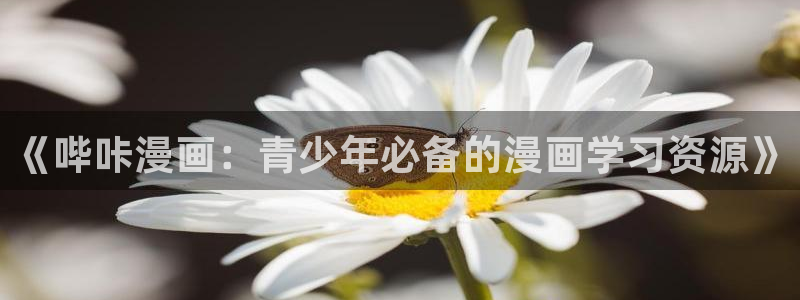 91漫画兑换码大全
