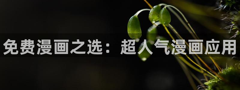 91漫画网站永久入口